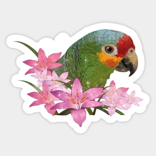 Red-fronted Amazon Sticker